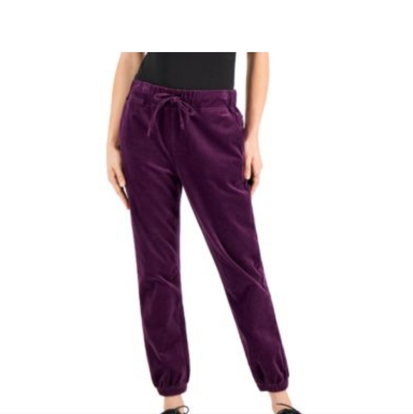 Tinseltown Pants & Jumpsuits Tinseltown Velvet Joggers Purple Size